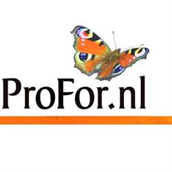 Stichting Profor, Amsterdam Zuidoost openingstijden