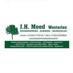 J.H. Moed Boomkwekerijen, Westerlee openingstijden