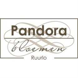 Pandora Bloemen, Ruurlo openingstijden