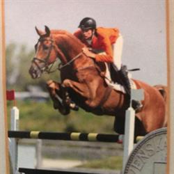 Manege Van Erp, Oss openingstijden