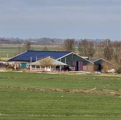 Activiteitenboerderij camping Hammerslag, Westergeast openingstijden