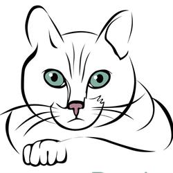 Kattenoog Producties, Sellingen openingstijden