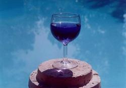 Blue Wine Multimedia, Utrecht openingstijden