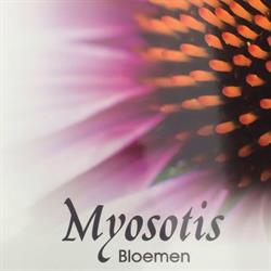 Myosotis Bloemen Bv, Rhoon openingstijden