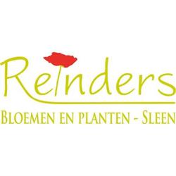 Reinders Bloemen en Planten, Sleen openingstijden