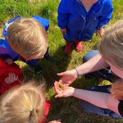 Agrarisch Kinderdagverblijf Kiboekoe, Knegsel openingstijden