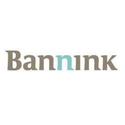 Bannink Accountants en Belastingadviseurs, IJmuiden openingstijden