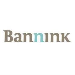 Bannink Accountants en Belastingadviseurs, IJmuiden openingstijden