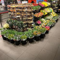 Danny Auperlé Flowers, Oude-Tonge openingstijden