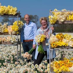 Pennings Bloembollenbedrijf P, Noordwijkerhout openingstijden