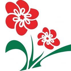 Broks Bloemen Bv, Veghel openingstijden