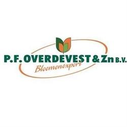 P.f. Overdevest Bloemenexport Bv, Noordwijkerhout openingstijden