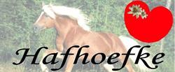 Hafhoefke, Aldwâld openingstijden
