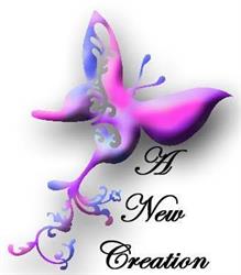 New You Creations, 's-Gravenhage openingstijden