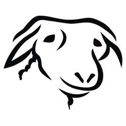 Café Het Zwarte Schaap, Breda openingstijden