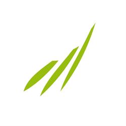Gemeente Medemblik, Wognum openingstijden