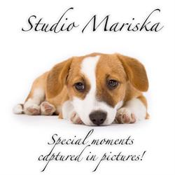 Studio Mariska, Huijbergen openingstijden