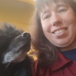 Doggy's Trimsalon, Sappemeer openingstijden
