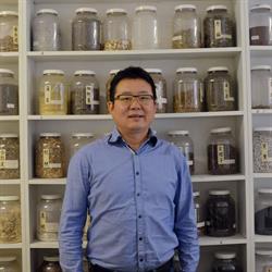Hopeful Star Traditional Chinese Medicine, Haarlem openingstijden