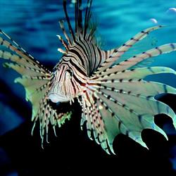 Aqua-Exotica, Tegelen openingstijden