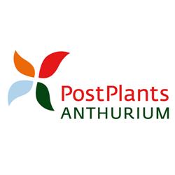 Postplants, Pijnacker openingstijden