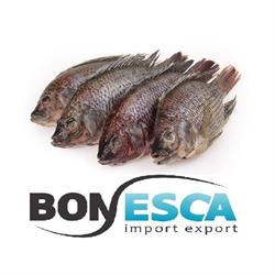 Bonesca, Urk openingstijden