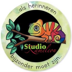 Studio Kameleon, Vlierden openingstijden