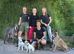 De Hooge Meet, Kerkwerve openingstijden