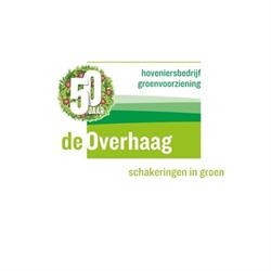 De Overhaag Bv, Leuth openingstijden