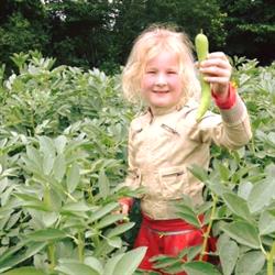 Land en Boschzigt, 's-Graveland openingstijden