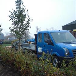 Hoveniersbedrijf Ben's Boom & Tuin, Ter Apelkanaal openingstijden