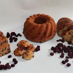 Bakkerij Spanjer, West-Terschelling openingstijden