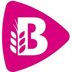 Vof. de Werk Lentze Bakker Bart, Dordrecht openingstijden