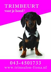 Hondentrimsalon 'fiona', Margraten openingstijden