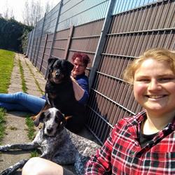 Dierenpension De Boerdik, Oostwoud openingstijden