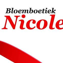 Bloemsierkunst Nicole, Helmond openingstijden