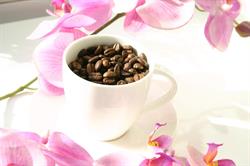 Strong Coffee, Breda openingstijden