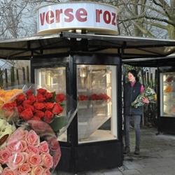 Rozenkwekerij H. Bruinen, Venlo openingstijden