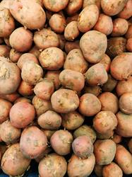 Noorloos Aardappel en Eierhandel, Nijmegen openingstijden