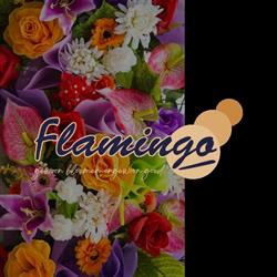 Flamingo Handelsonderneming, Ede openingstijden