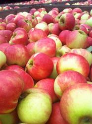 Jurrius Fruit, Helmond openingstijden