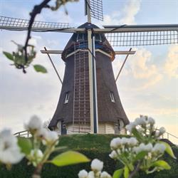 Molen 'De Duif', Nunspeet openingstijden