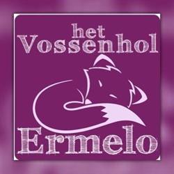 Het Vossenhol B.v., Ermelo openingstijden