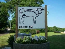 Zorgboerderij De Balloohoeve, openingstijden