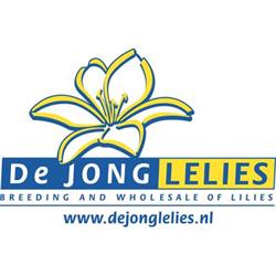 De Jong Lelies Holland B.V., Andijk openingstijden