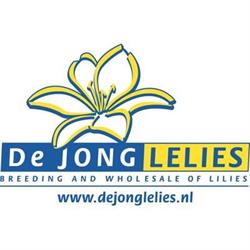 De Jong Lelies Holland B.V., Andijk openingstijden