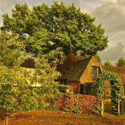 Landrop Bed & Breakfast, Hoogeloon openingstijden