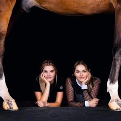 M.d.h. Sport Horses B.v., Heeze openingstijden