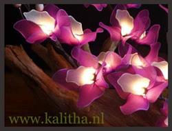 bloemen- sfeer-decoratie- verlichting KALITHA, Eindhoven openingstijden