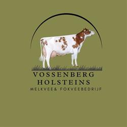 Mts. Woertink, Wijster openingstijden